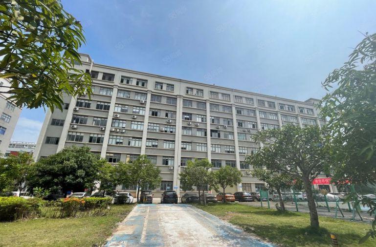 坂田五和大道旁新出楼上整层精装2000平方厂房出租。