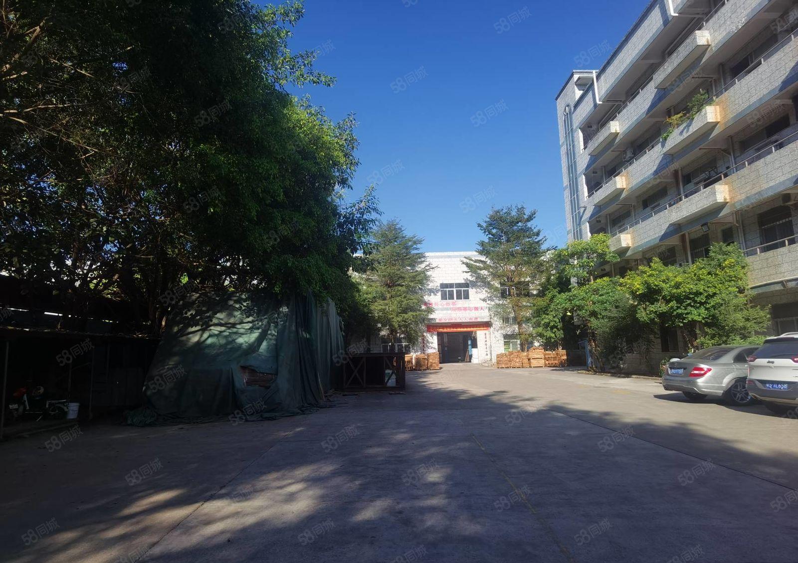 200平起分租！龙岗新生科技园新出1000平米带装修厂房出租