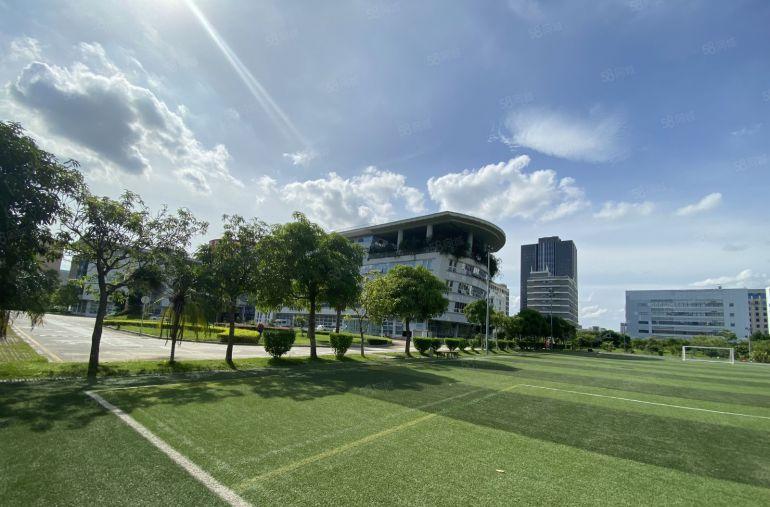 年底低价笋盘一手房东龙岗花园式工业区新出2000平厂房出租