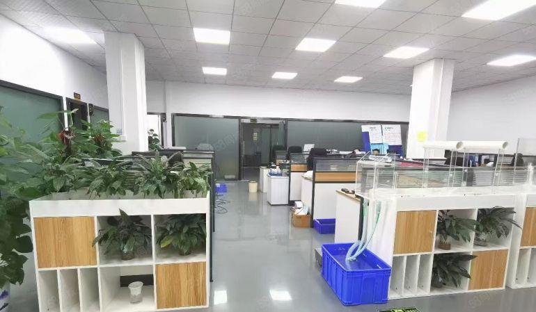 龙岗宝龙高新科技产业园原房东红本3楼800平方带装修大小可分