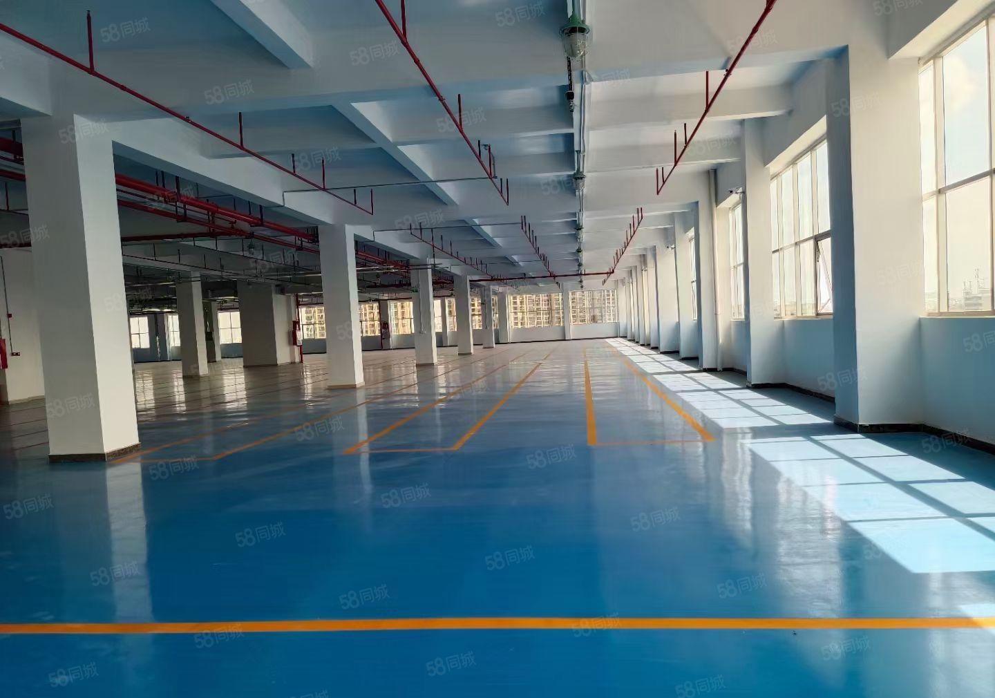 横岗六约新空出楼上2000平精装厂房仓库出租带消防喷淋地坪漆