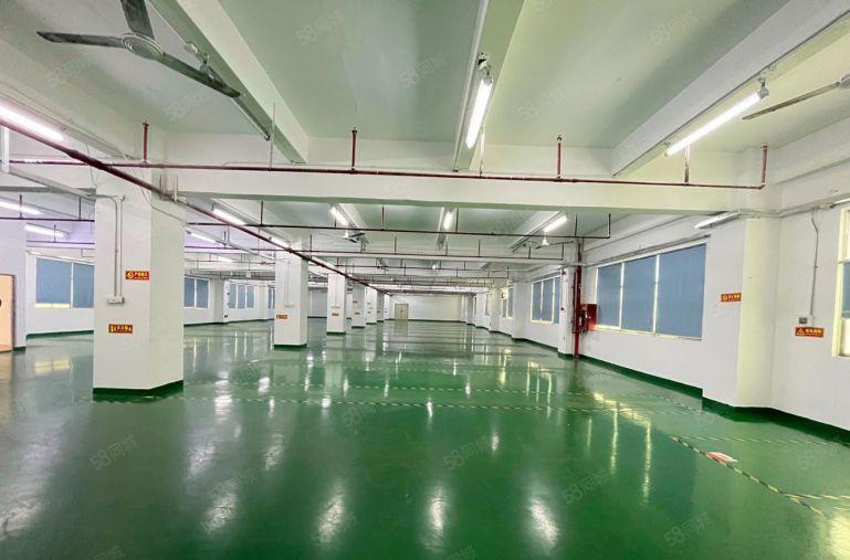 （厂房出租）岗头厂房3楼面积1200平出租户型方正采光好