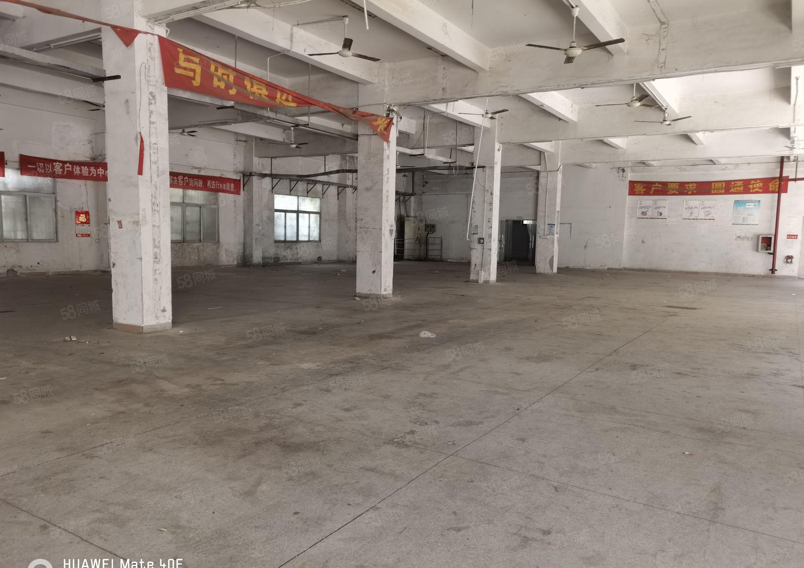 横岗大康新出原房东1300平方，一楼厂房