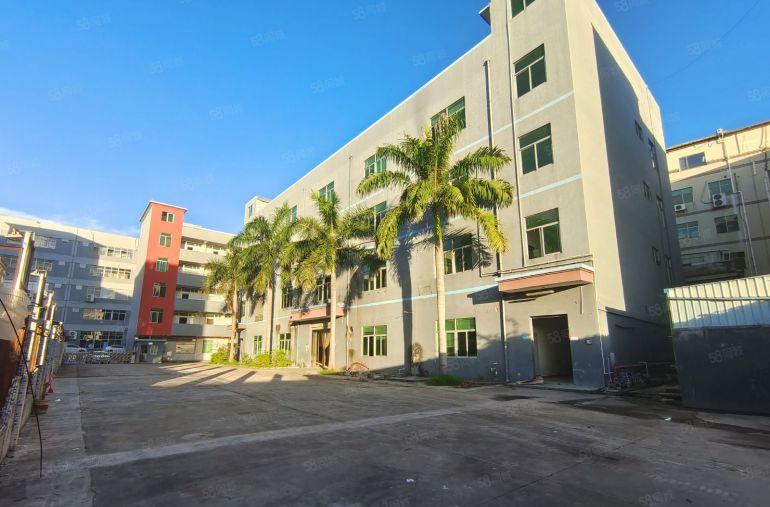 龙岗原房东红本独院6000平方厂房低价出租合同10年主干道边