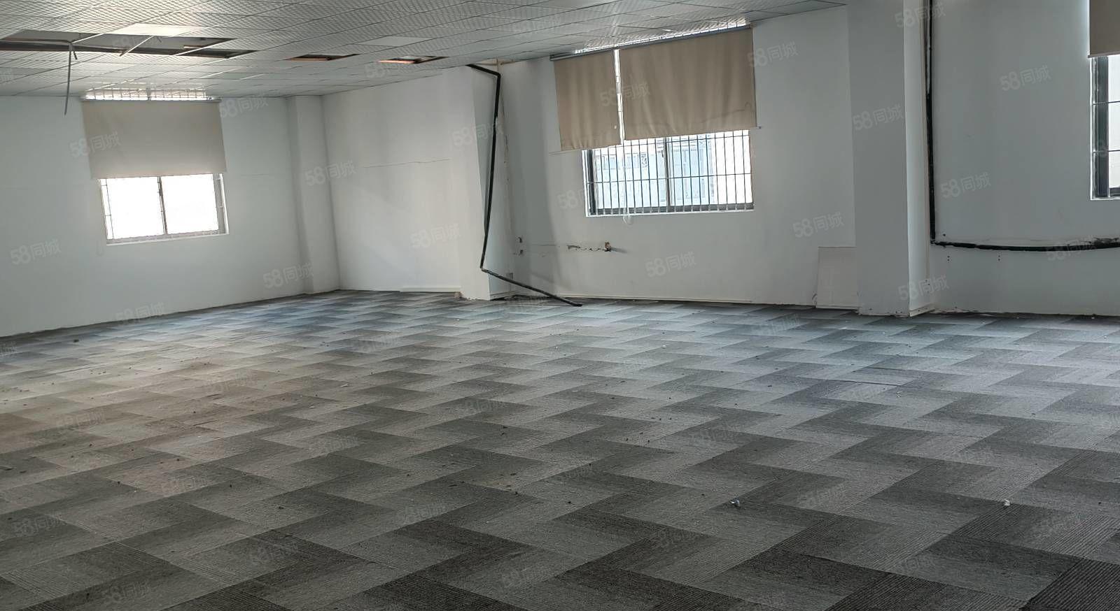 龙岗平湖华南城高新技术产业园精装修1000至4650厂房出租