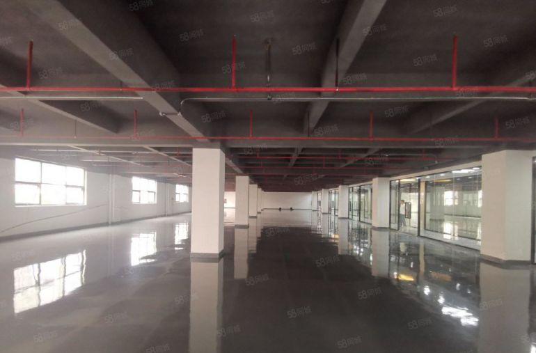 坂田杨美地铁口电商园100到2000平办公仓库厂房出租