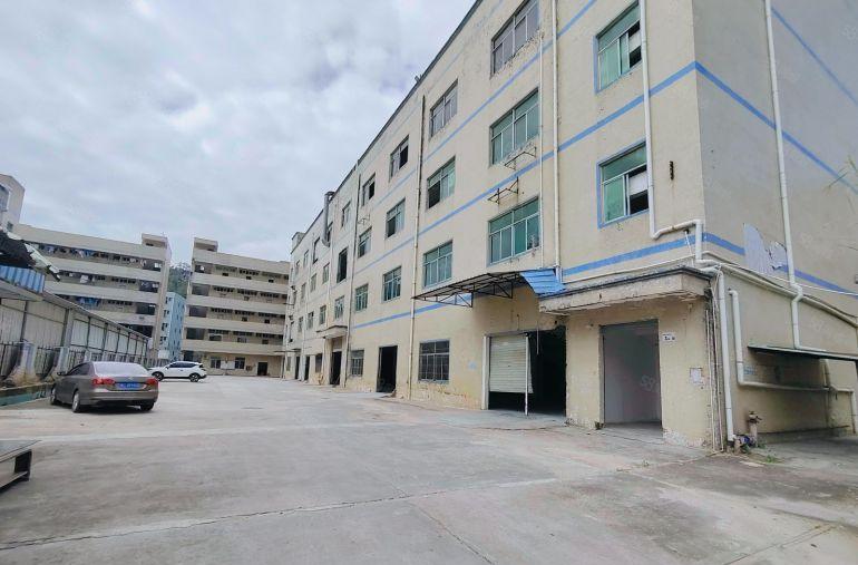 4百平起分租龙岗南联新出1600平一楼厂房仓库出租可进大货车