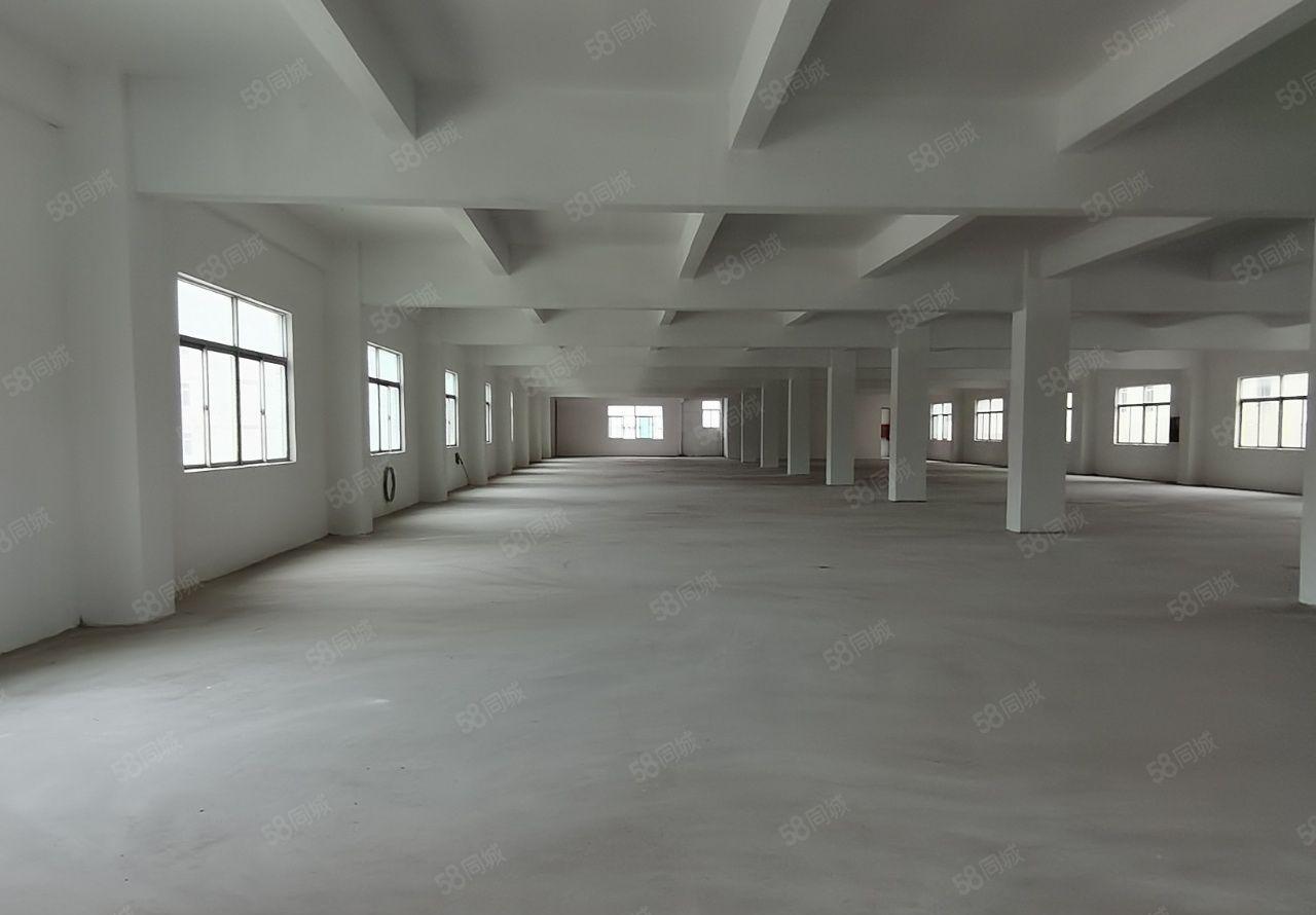 龙岗新出独门独院厂房出租6000平，大小面积分租原房东空地大