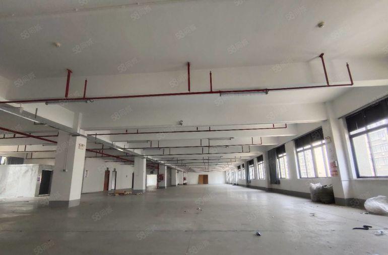 （出租）布吉主干道2000平楼上厂房，带现成装修跟生产车间。