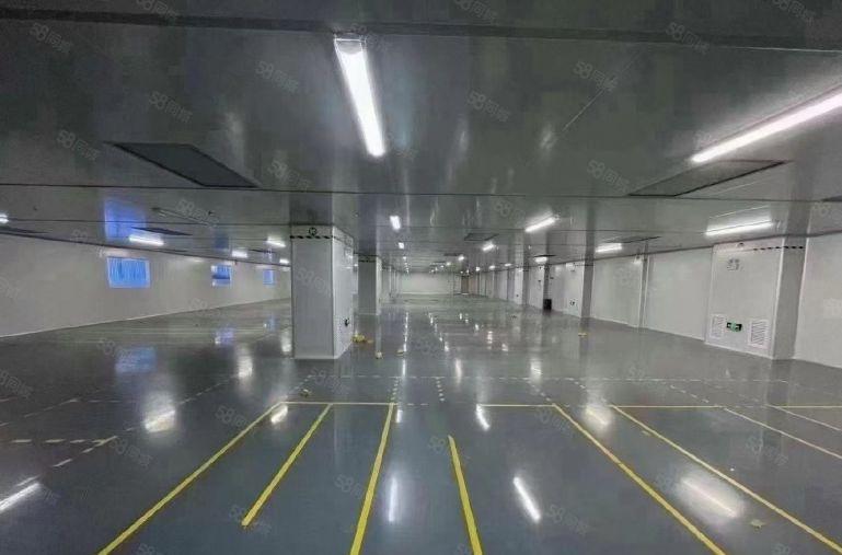 平湖上木古宝来工业区新出6000平方独门独院厂房大小分租