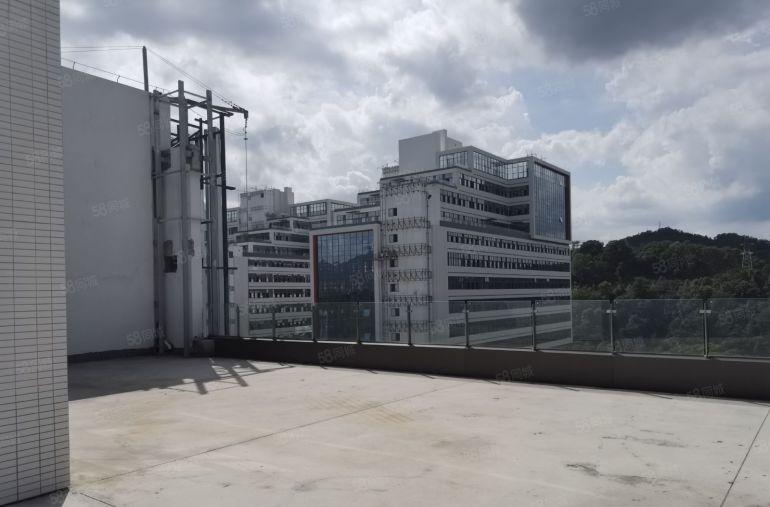 园山阿波罗地铁口2700平单层高标厂房 开发商直租带大露台