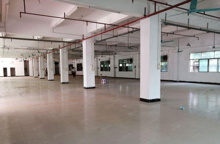 平湖富民工业园区原房东1一4层厂房5500平方出租合租