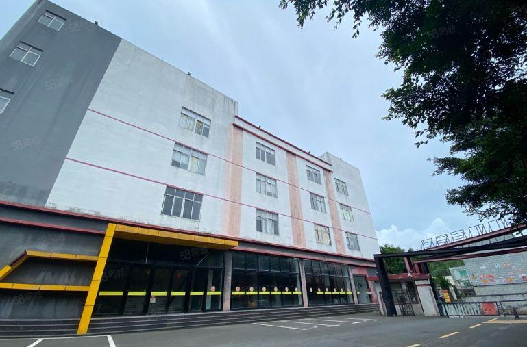 龙岗宝龙独院红本面积1000平分现成卸货平台厂房仓库物流出租