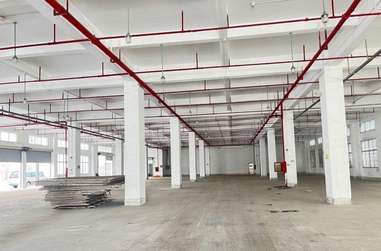 平湖白泥坑靠海吉星原房东1000平厂房仓库出租