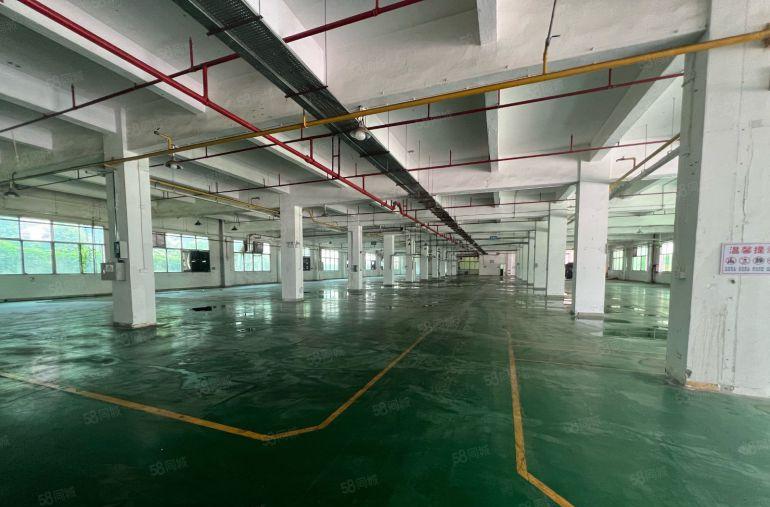 龙岗宝龙科技园原房东独院厂房仓库1500平出租场地大易招工
