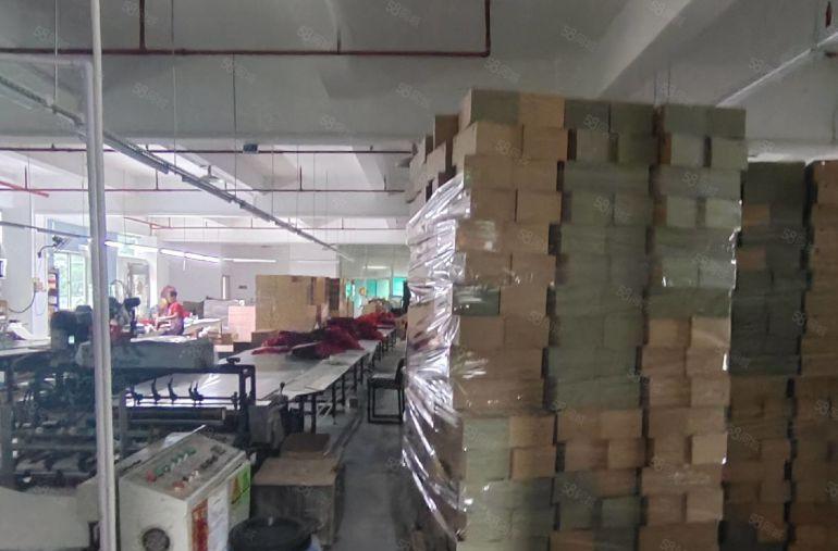 坂田红本原房东带装修车间办公厂房8成使用面积1000平可分租