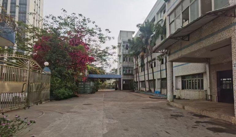 平湖辅城坳工业区独门独院厂房四层楼5600平米招租园区带花园