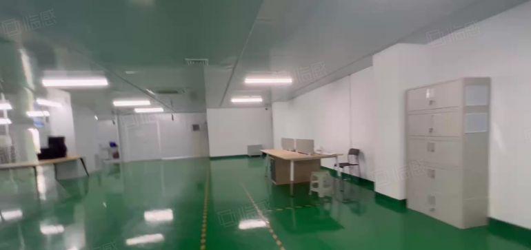 19元租现成无尘车间 龙岗 坪山均有低价厂房1180平方出租