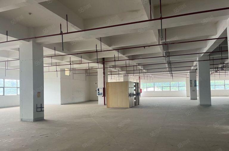布吉坂田物流电商仓库厂房出租一楼500平带卸货平台