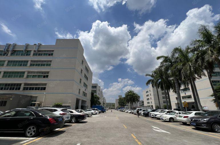 层高6.5米宝龙原房东工业区新出一楼3000平方仓库厂房出租