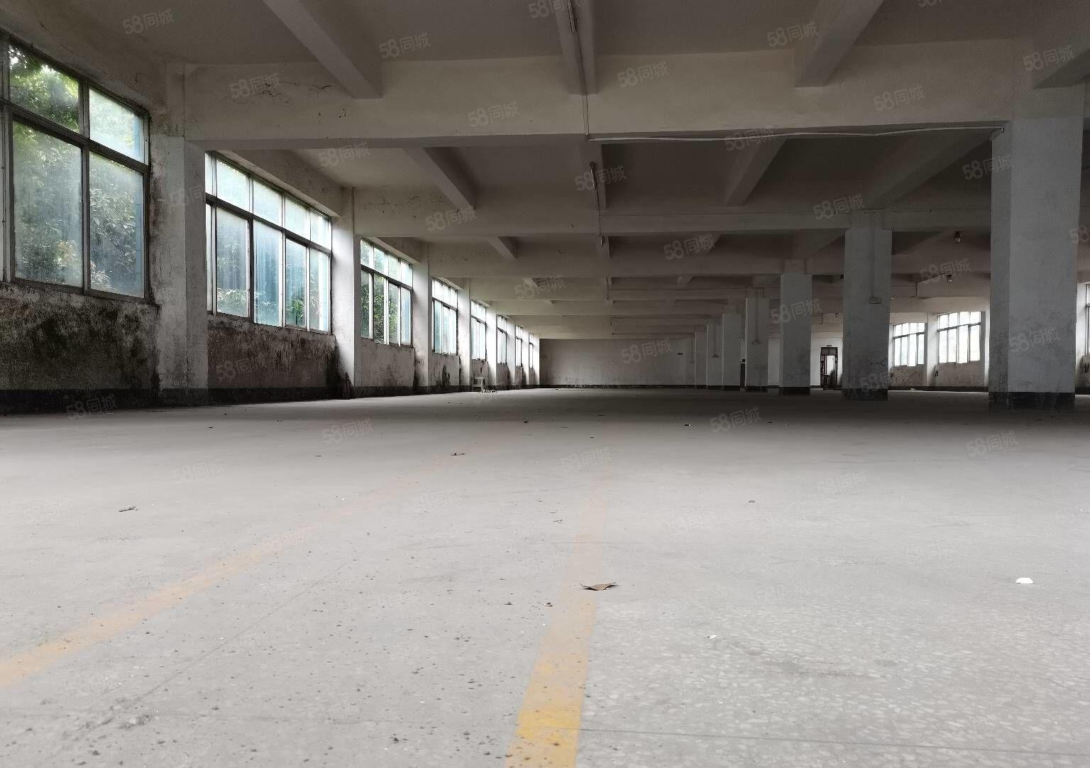 深圳市龙岗区龙东原房东厂房出租交通便利周边设施齐全大小可分租