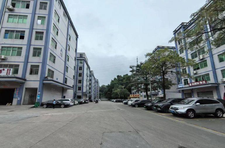 坂田上雪原房东200平带装修办公仓库一体低价出租