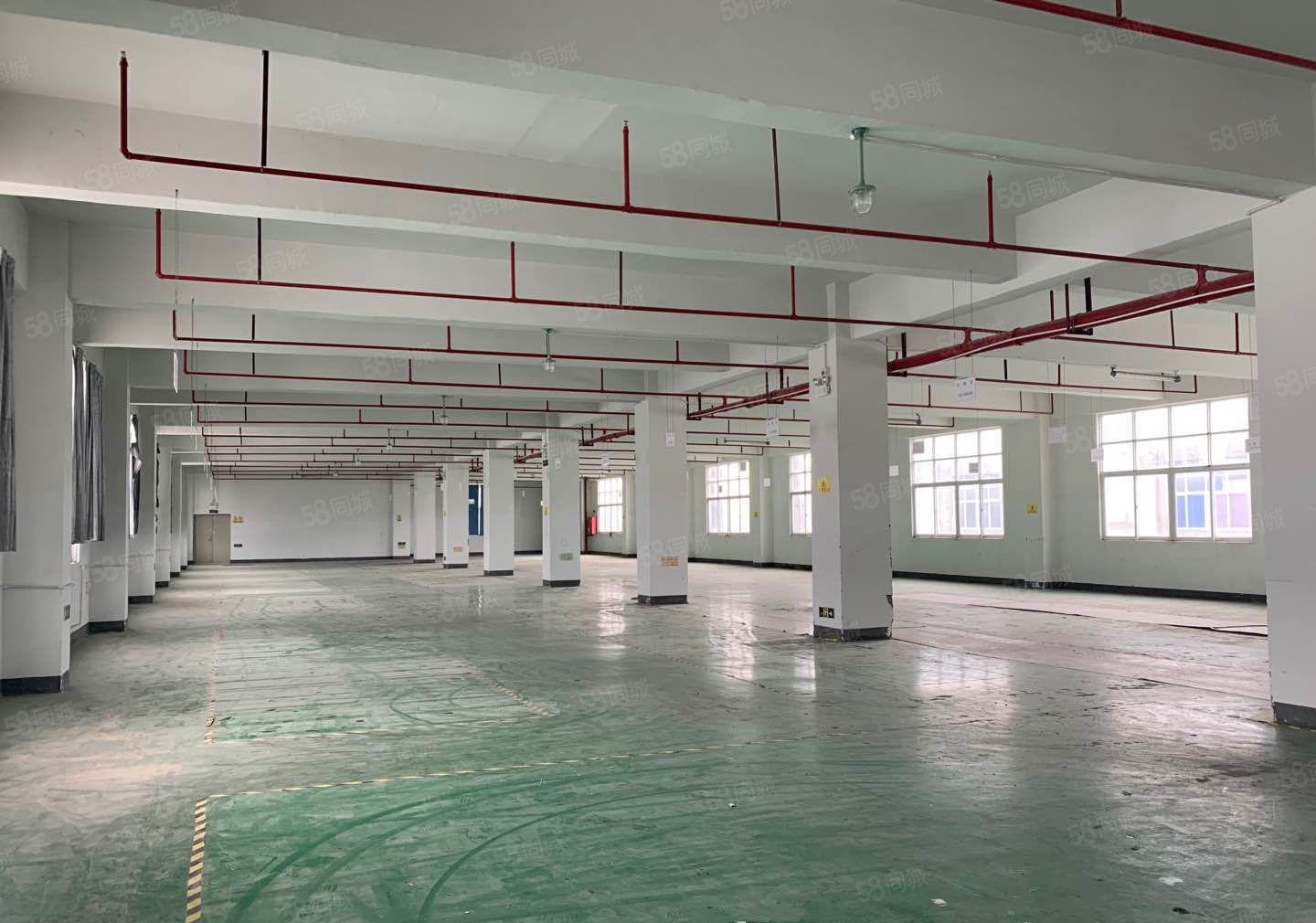 S龙岗独院厂房5000平方可以分租