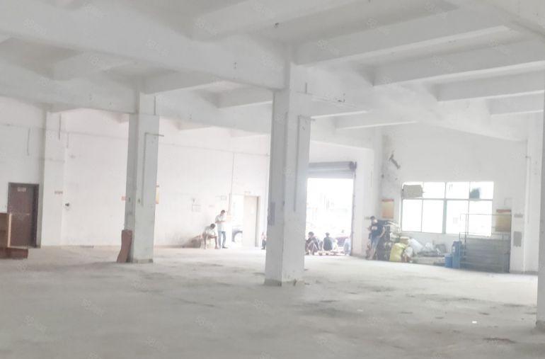 横岗厂房  业主低价出租 独立红本  大型停车场