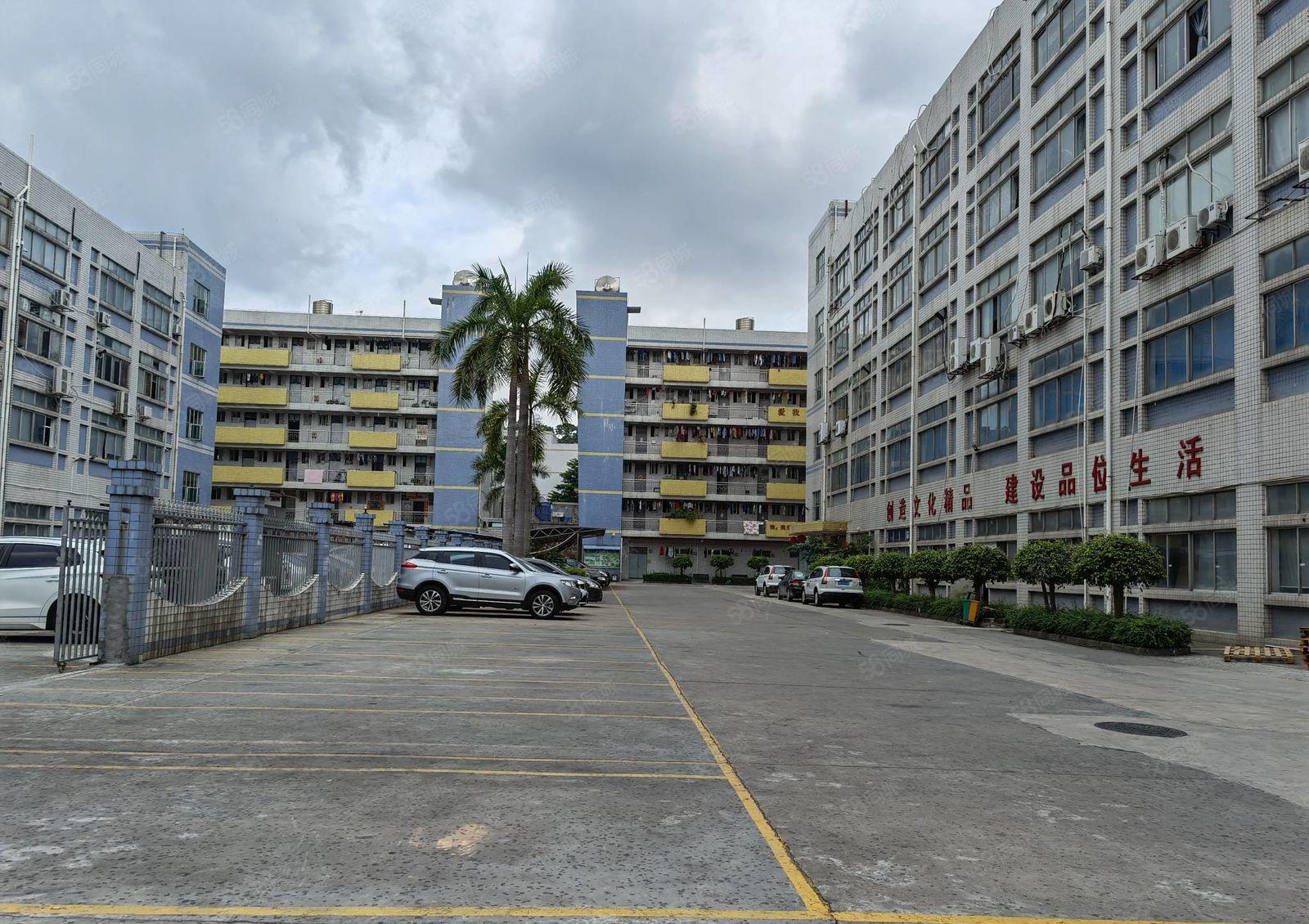 龙岗新出一二楼1000平至5000平厂房仓库出租独院大小分租