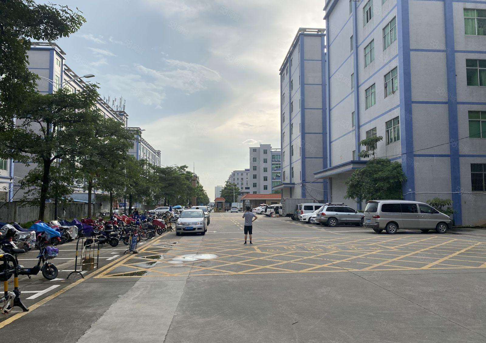 坂田上雪工业园2万平厂房出租800平分租一楼仓库有红本