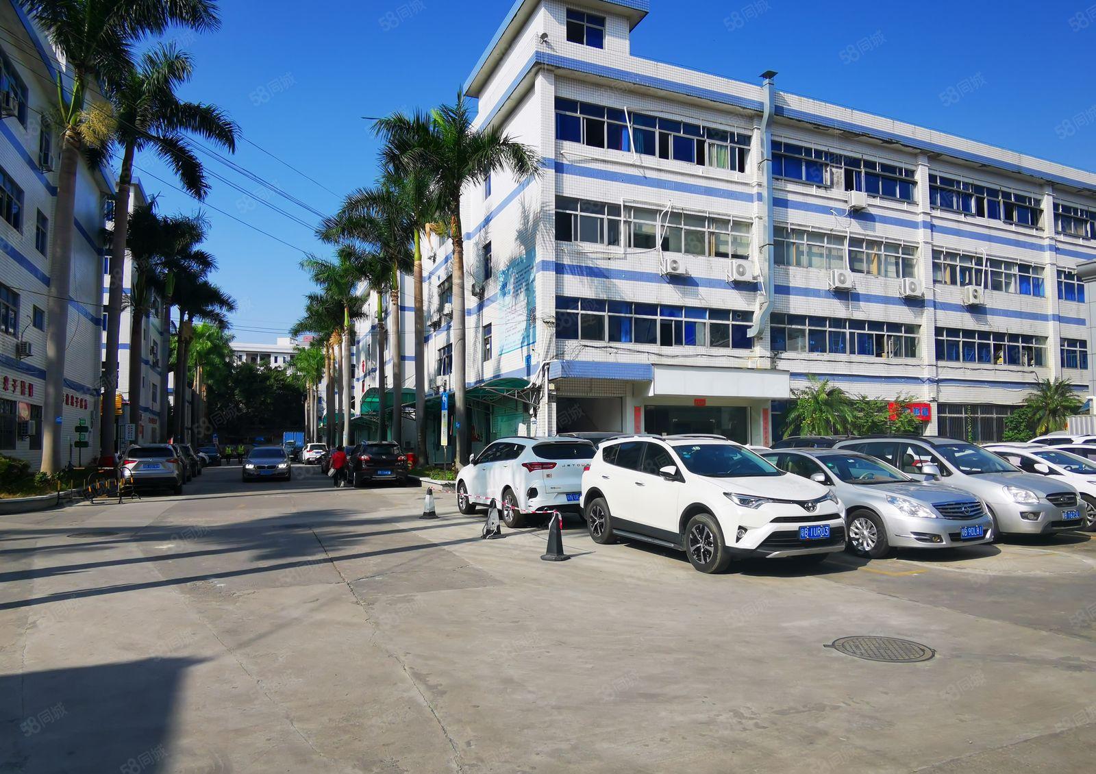 龙岗南联1000平楼上厂房，报价20元一平带装修可分租