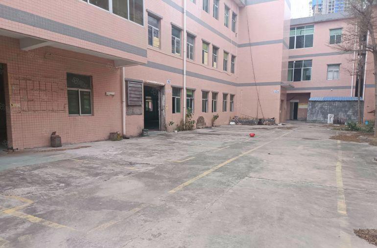 龙岗坪地坪东原房东独院厂房1800平带装修有电梯