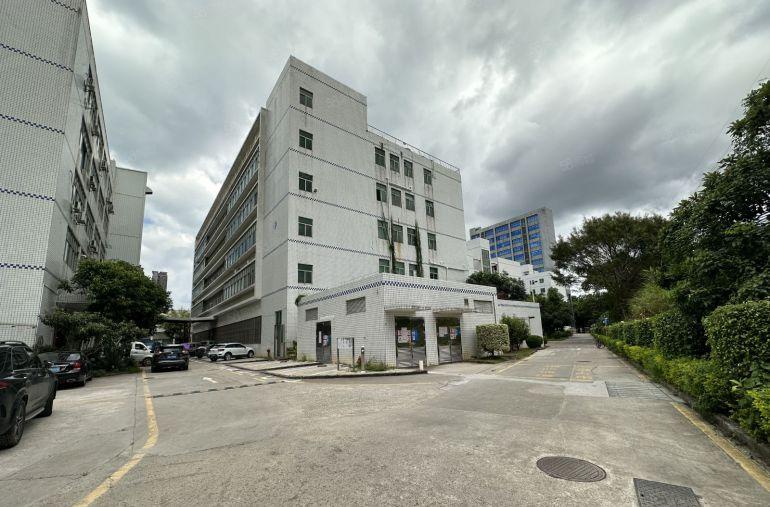 200起分龙岗爱联1000平电商办公仓库出租一楼600平