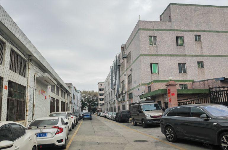 深圳龙岗区平湖新木村独院厂房出租面积4000平有小冷库有宿舍