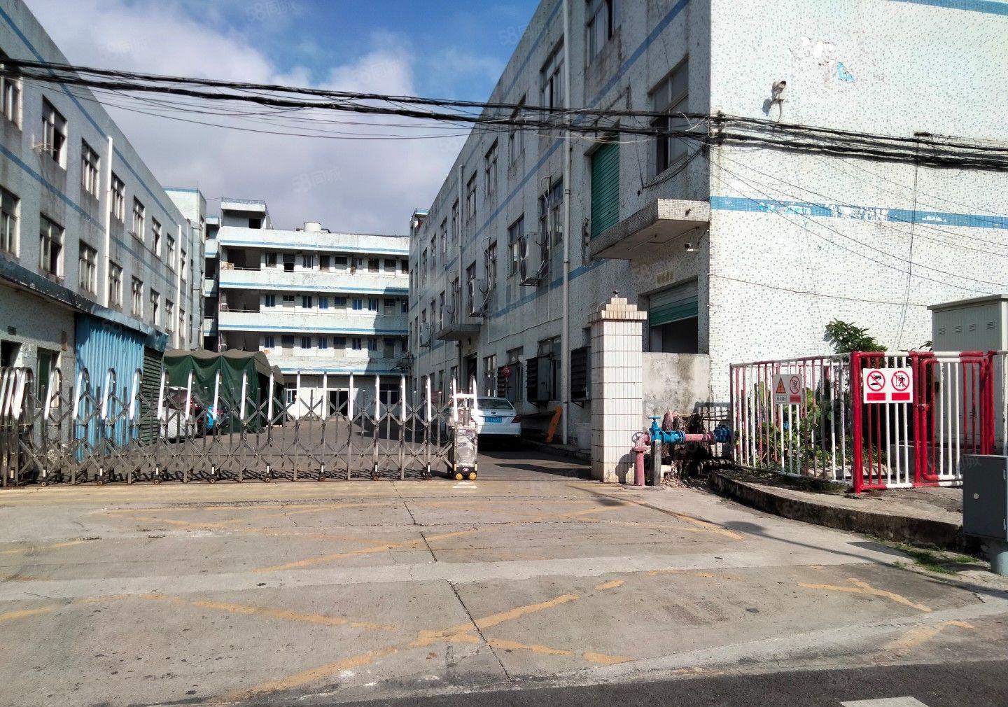 （出租）龙岗区吉祥地铁口原房东独门独院红本精装修大小分租