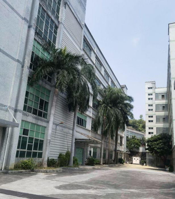 龙岗五联独门独院1000平出租，靠山环境清幽