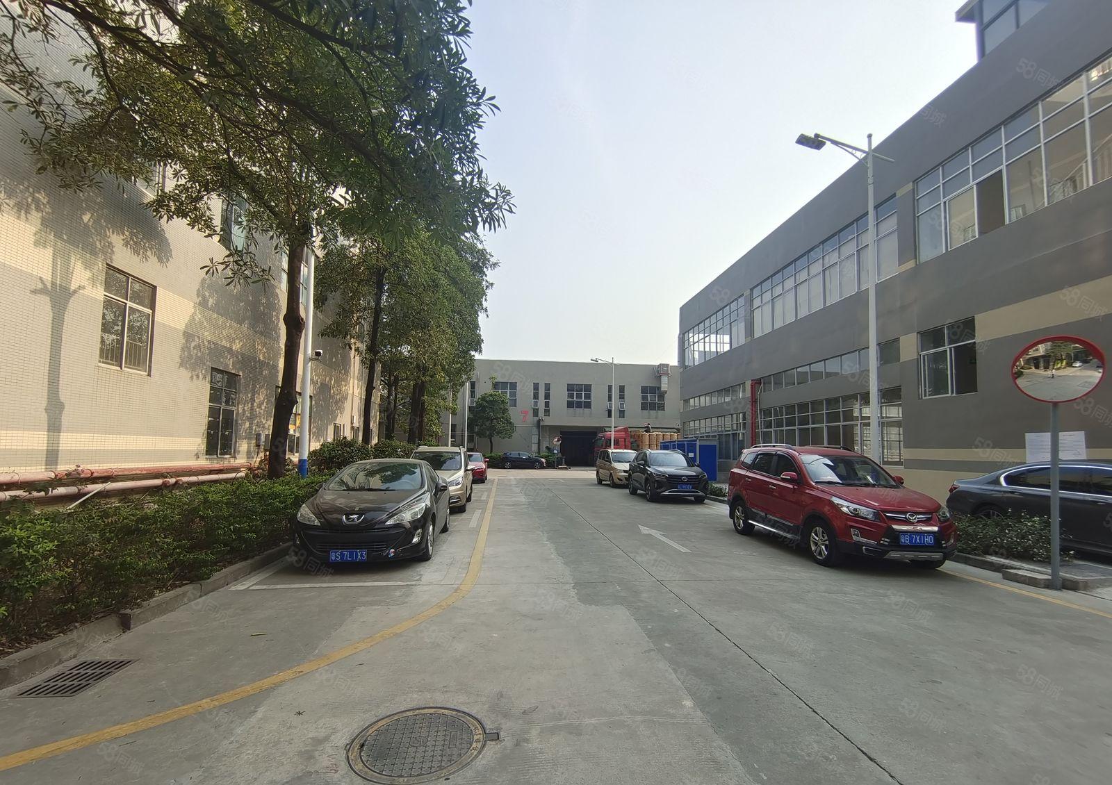 坪地外环高速旁原房东楼上2000平带精装修办公室仓库厂房出租