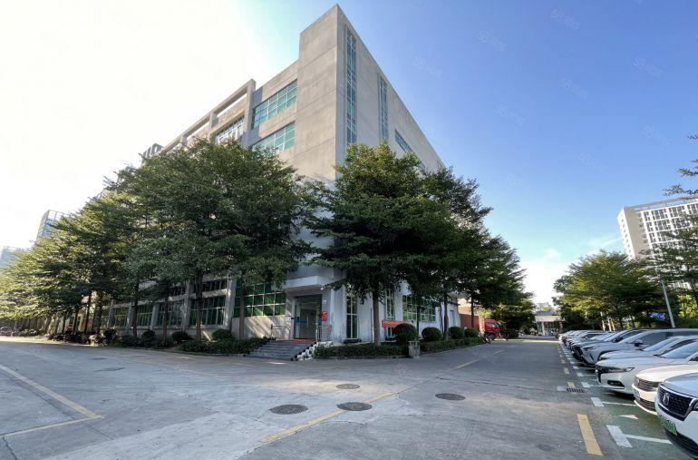 龙岗宝龙原房东工业园楼上1000平带装修办公室厂房出租可分租