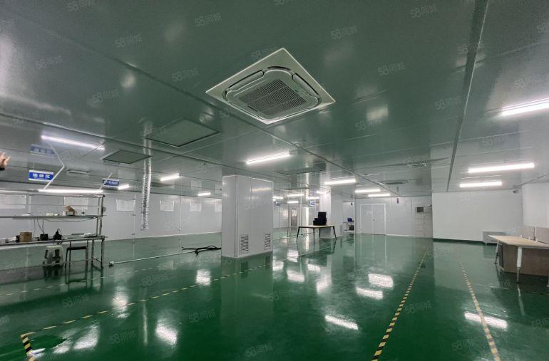 19元租现成无尘车间 龙岗 坪山均有低价厂房1180平方出租