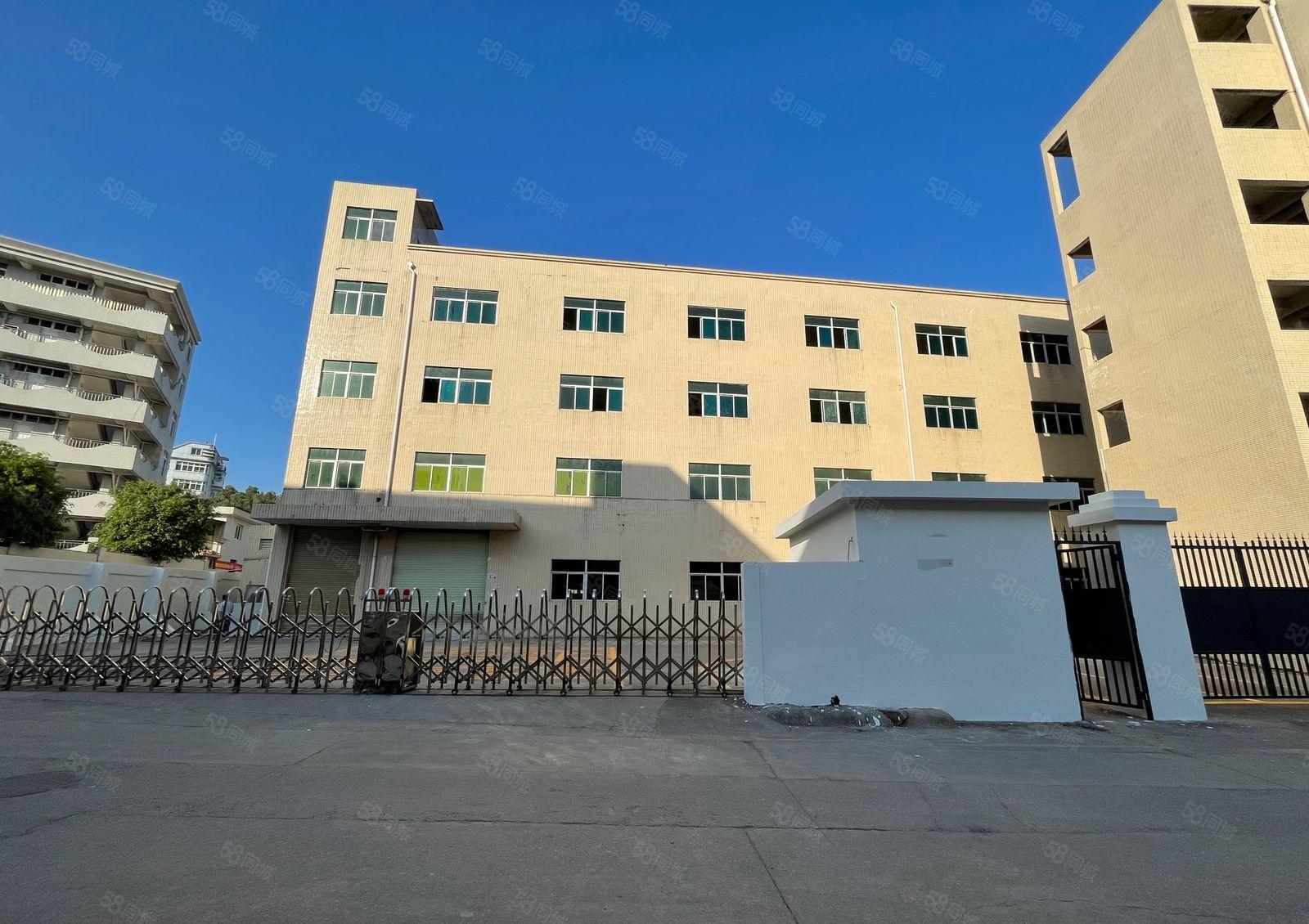 300平起租坪地一楼楼上厂房精装修厂房仓库，有红本，可办环评