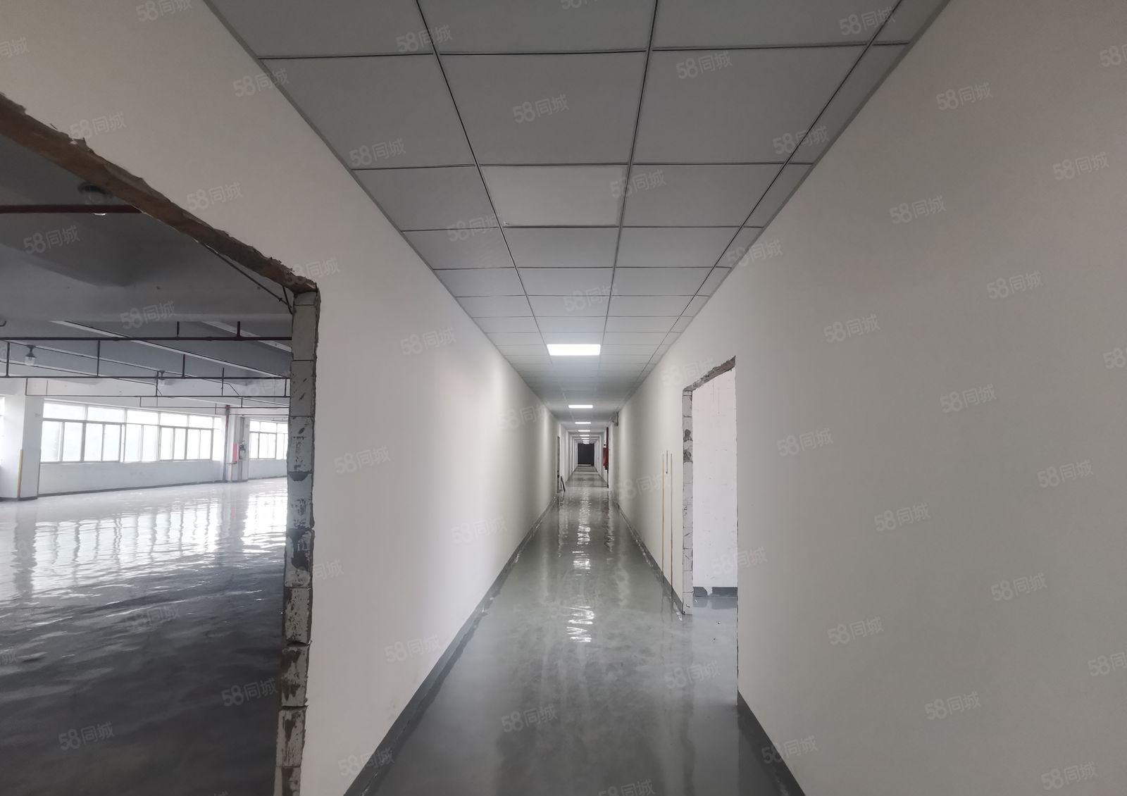 可办环评！原房东！坂田吉华新出1620平龙岗区标准厂房出租！