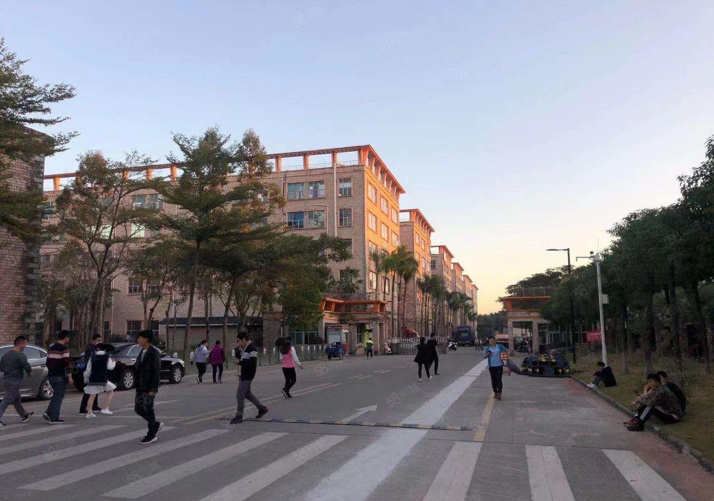 免租期3个月！坪地原房东工业区楼上3800平厂房大小分租