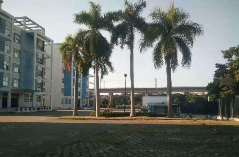 龙岗坪地高桥工业区楼上2000平带装修办公室厂房实际面积出租