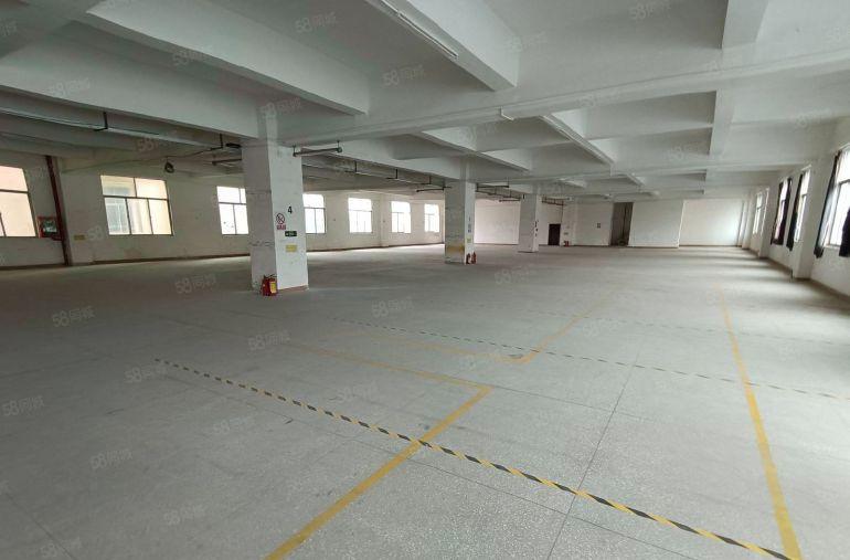 12块起租 龙岗原房东2万平方独院厂房出租 楼上300起分租