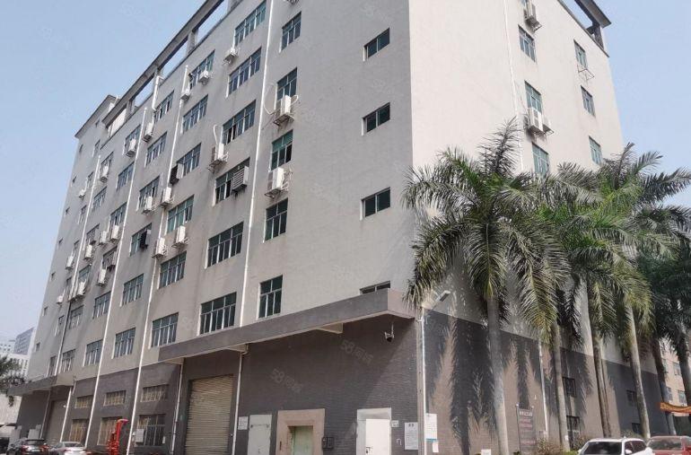 坂田  原房东使用率9成 整层2000平标准红本厂房出租