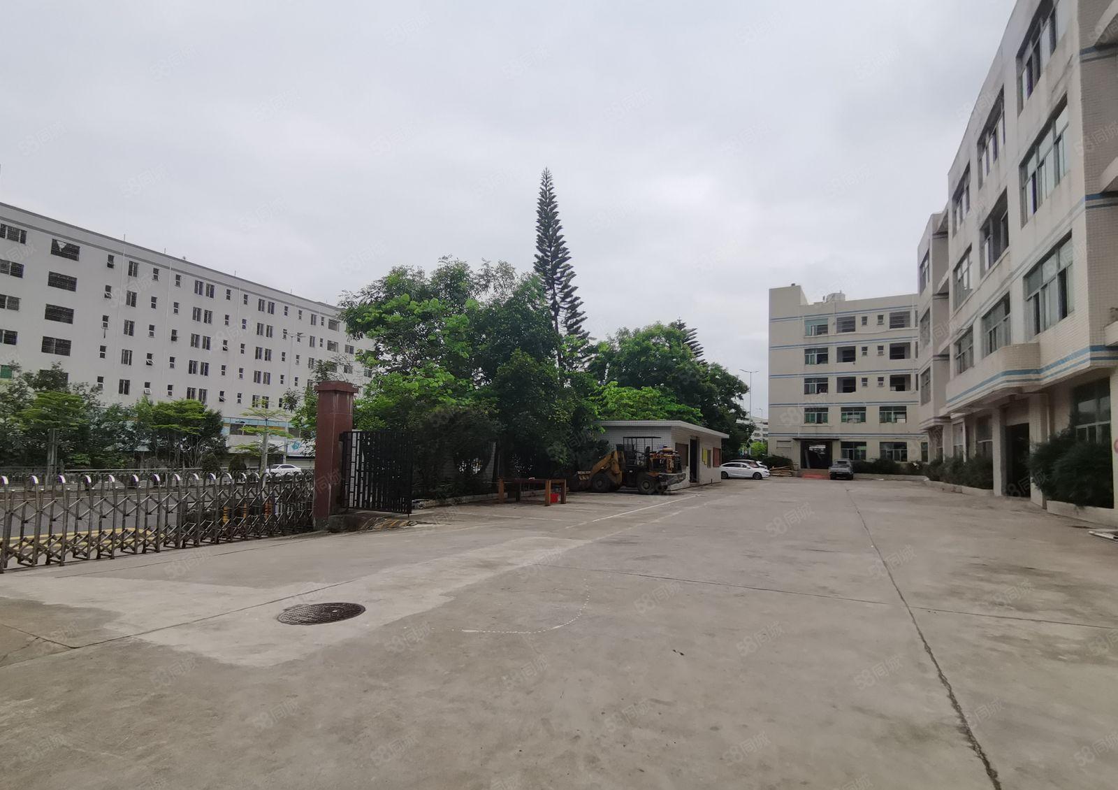 平湖大望工业区独院4层6200平厂房仓库出租可分租可环评印刷