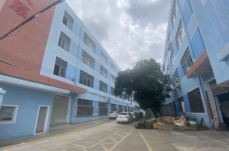 可分租，龙岗中心城原房东带红本1000平纯仓库办公室厂房出租