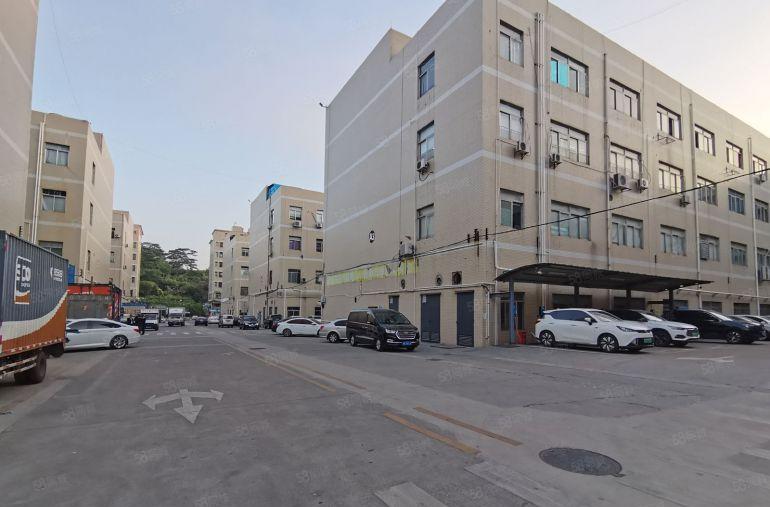 17元起龙岗原房东独院8000平方厂房仓库出租大小分租转租