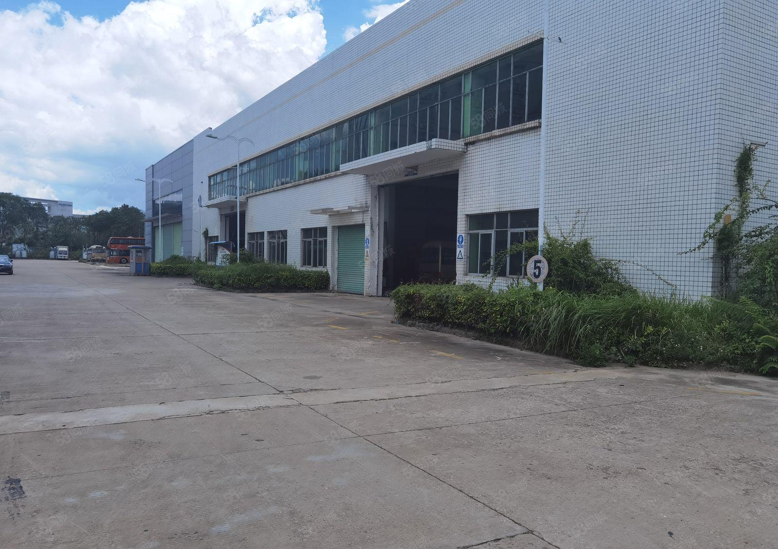 龙岗宝龙9米高钢结构9000平厂房出租!五金物流一楼仓库出租