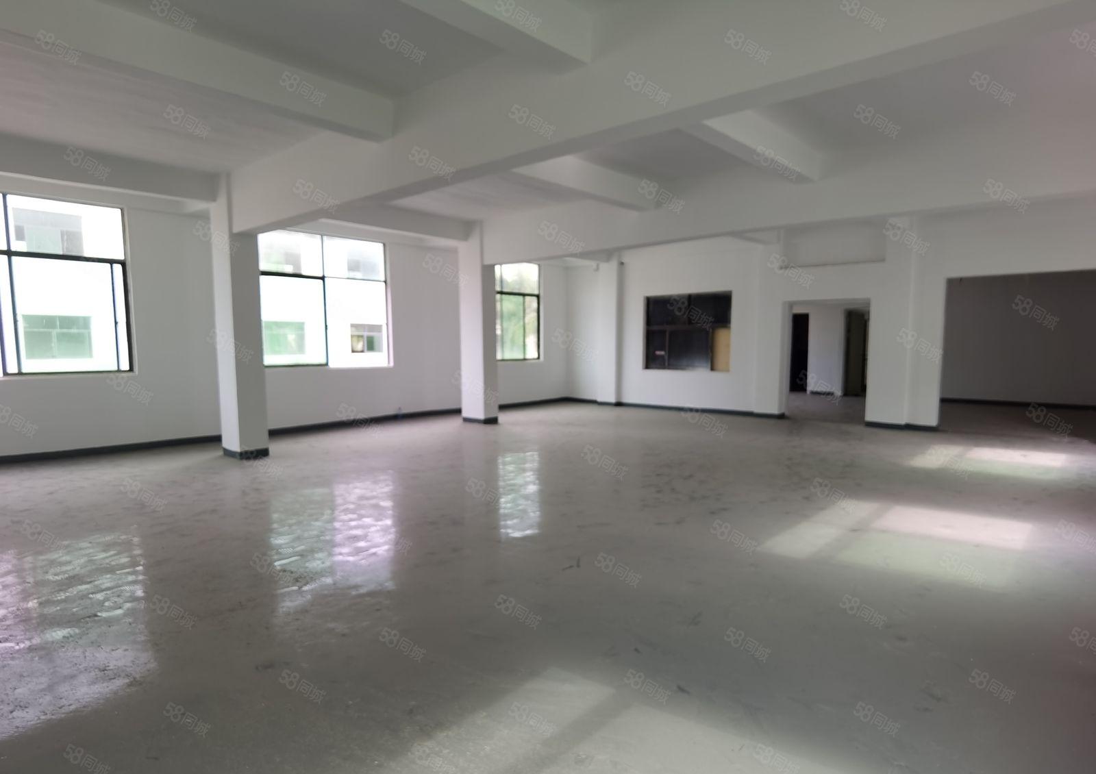 塘坑地铁站240平厂房，全新装修，给钱就租